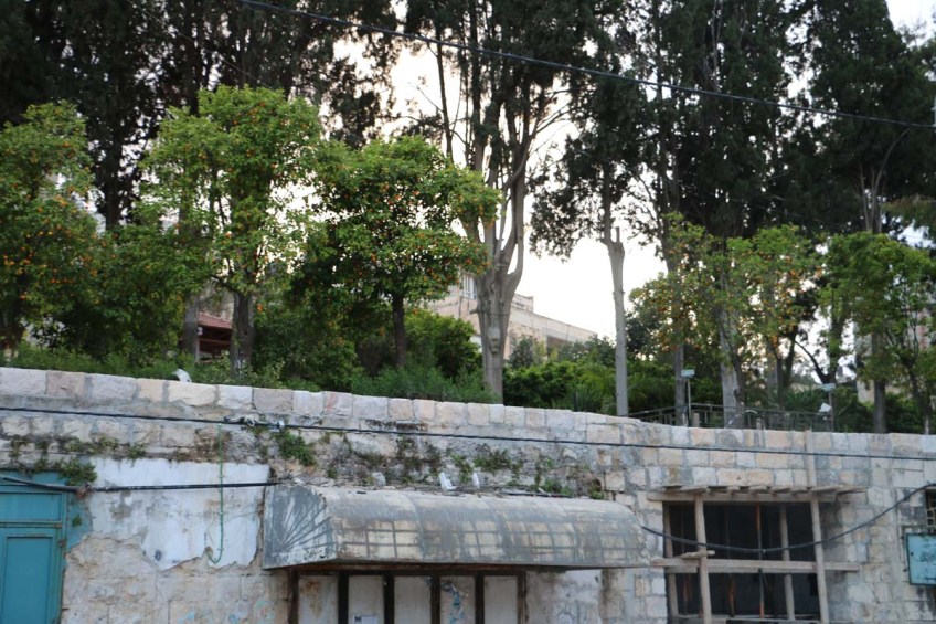 Downtown Nablus البلد