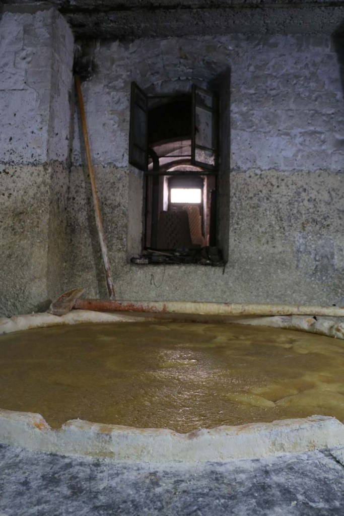 Making Olive oil soap