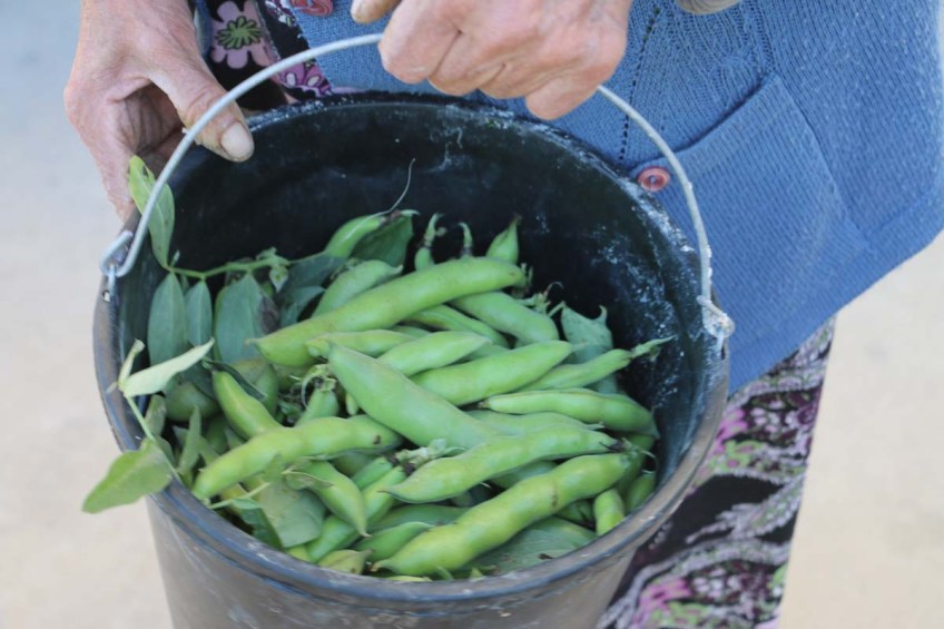 A small Arabian Palestinian village next to Nazareth Nasra