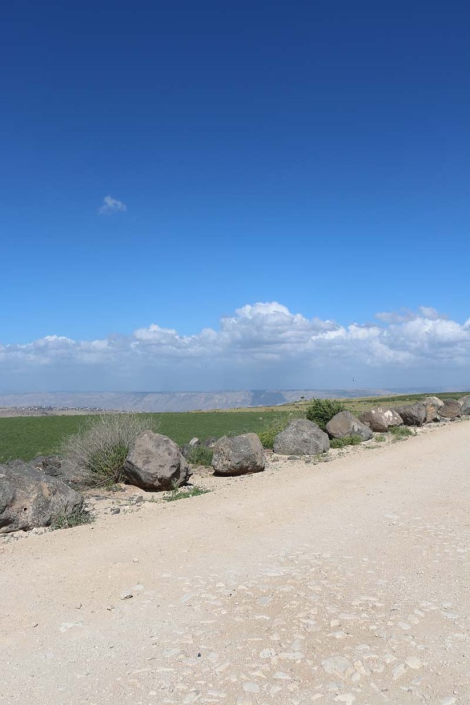 Hadathe destroyed Palestinian Village protest during Israeli independence day