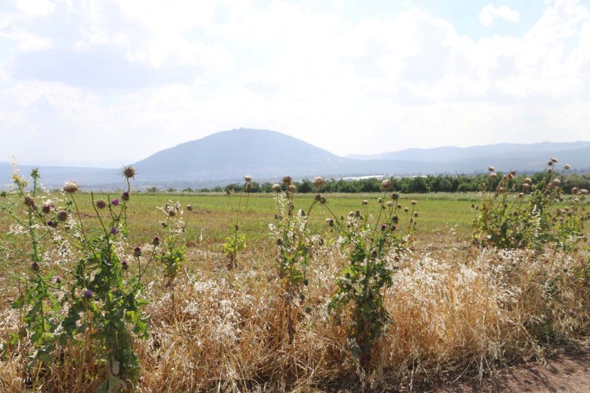 Hadathe destroyed Palestinian Village protest during Israeli independence day