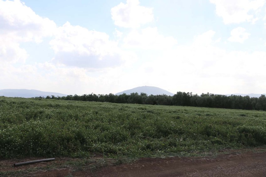 Hadathe destroyed Palestinian Village protest during Israeli independence day