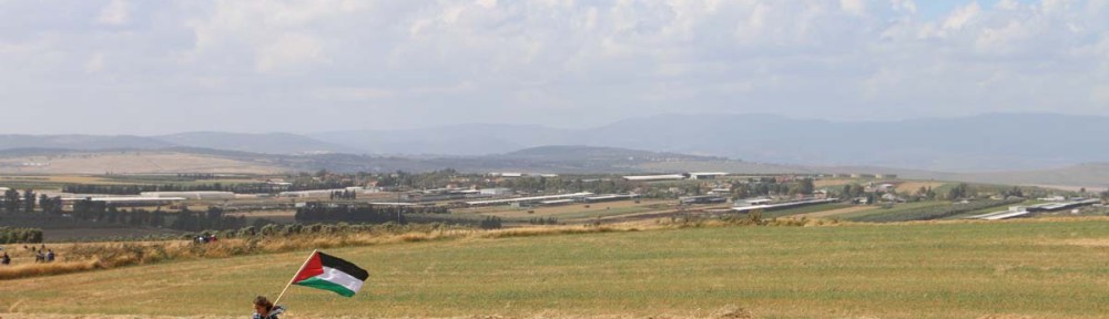 Palestine flag while a kid is carrying it over hay
