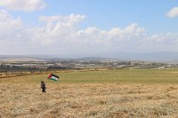Palestine flag while a kid is carrying it over hay