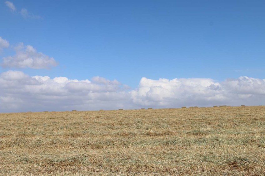Hadathe destroyed Palestinian Village protest during Israeli independence day