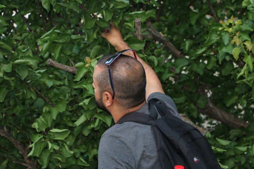 Old houses and streets of Haifa