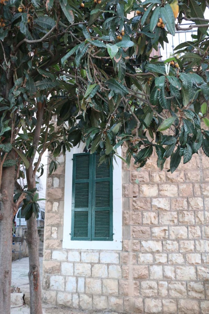 Old houses and streets of Haifa