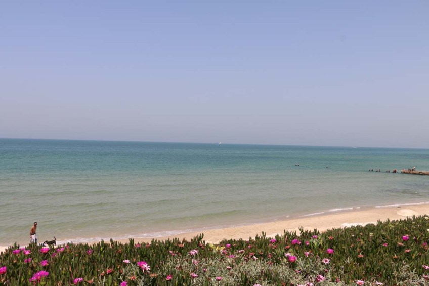 Jaffa Yafa Yafo Beach