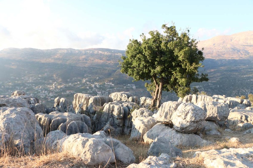 Overlooking the mountains in Lebanon