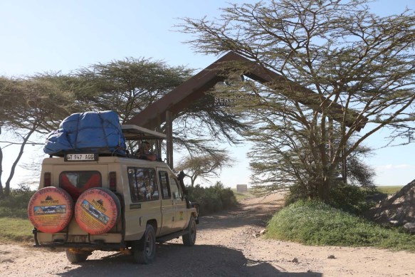 Serengeti, Safari, Jeep, Wild