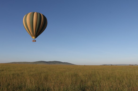 hot air balloon, safari, jungle, Serengeti, sunrise