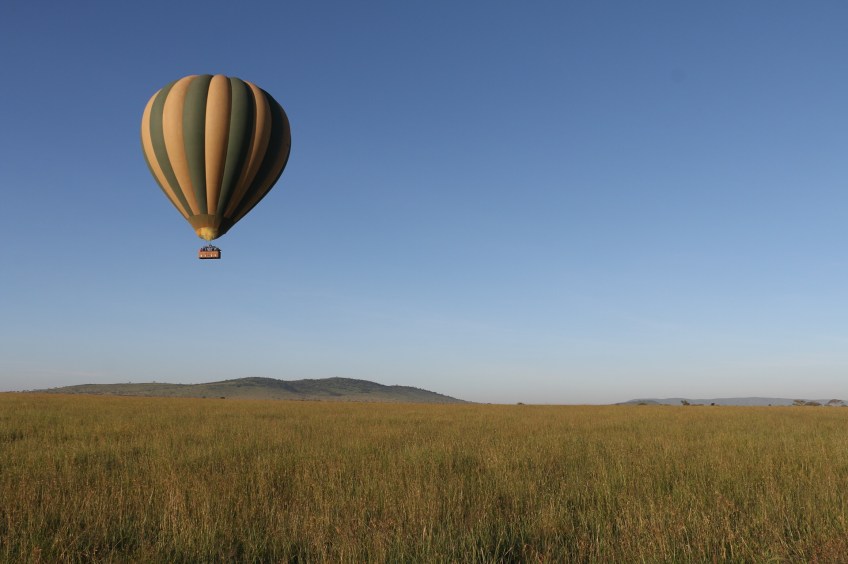 hot air balloon, safari, jungle, Serengeti, sunrise