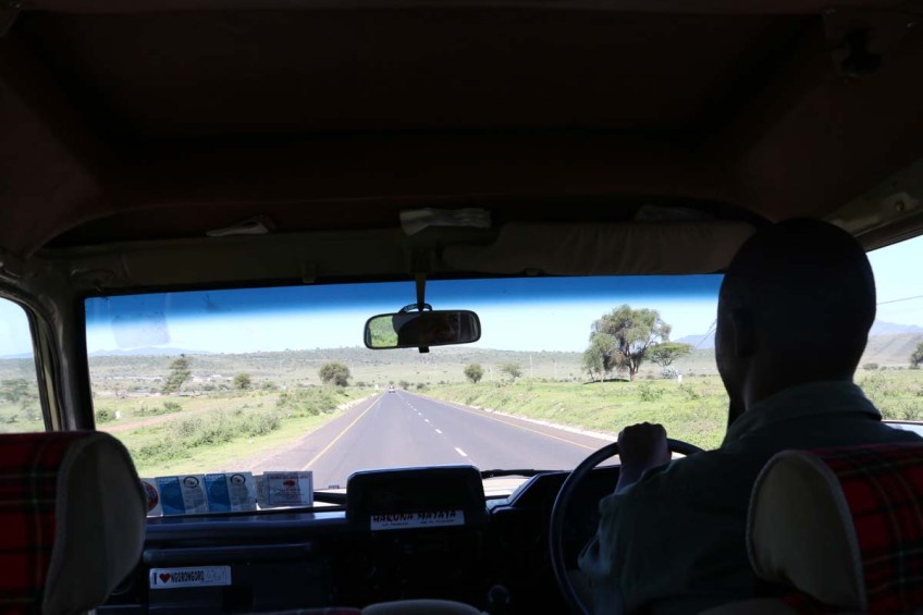 ride, jungle, tanzania, safari, Serengeti