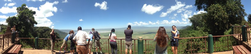 safari, tanzania, jungle, serengeti, ngorongoro crater, lake manyara