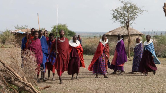 maasai, african, jungle, safari, tanzanian, tanzania