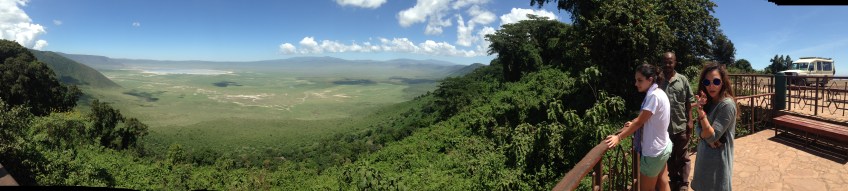 safari, tanzania, jungle, serengeti, ngorongoro crater, lake manyara