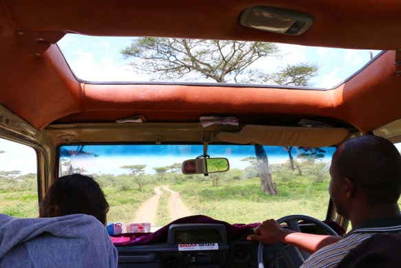 ride, jungle, tanzania, safari, Serengeti