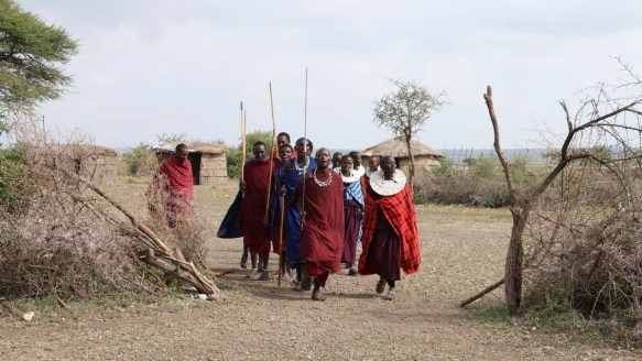 maasai, african, jungle, safari, tanzanian, tanzania