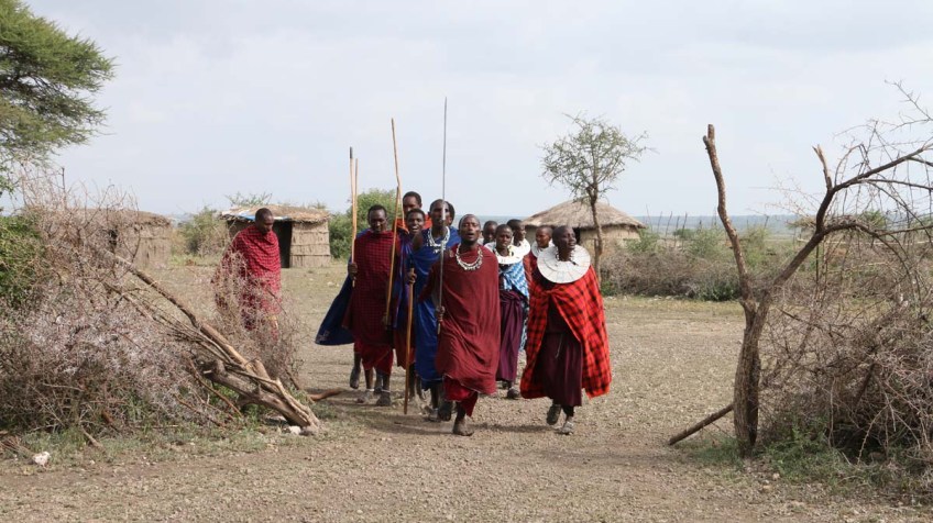maasai, african, jungle, safari, tanzanian, tanzania