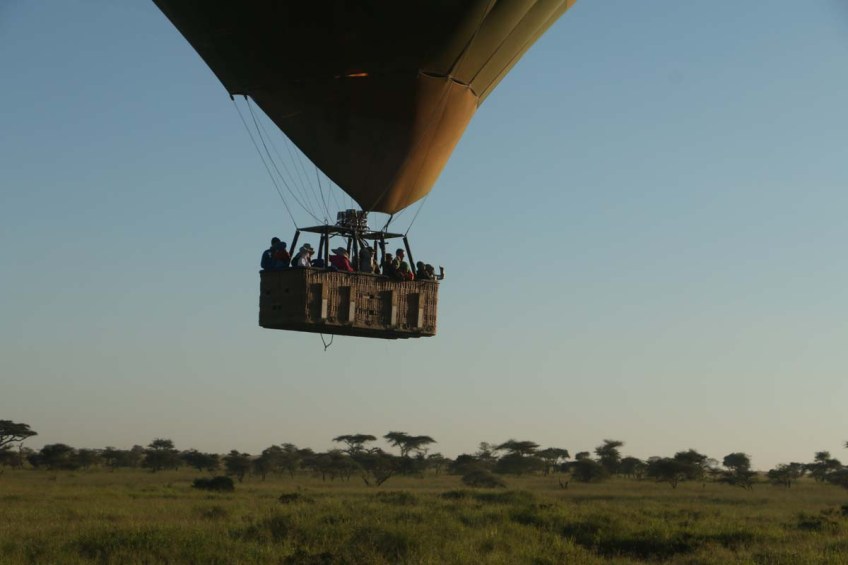 hot air balloon, safari, jungle, Serengeti, sunrise