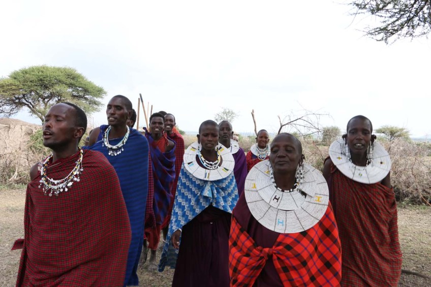maasai, african, jungle, safari, tanzanian, tanzania