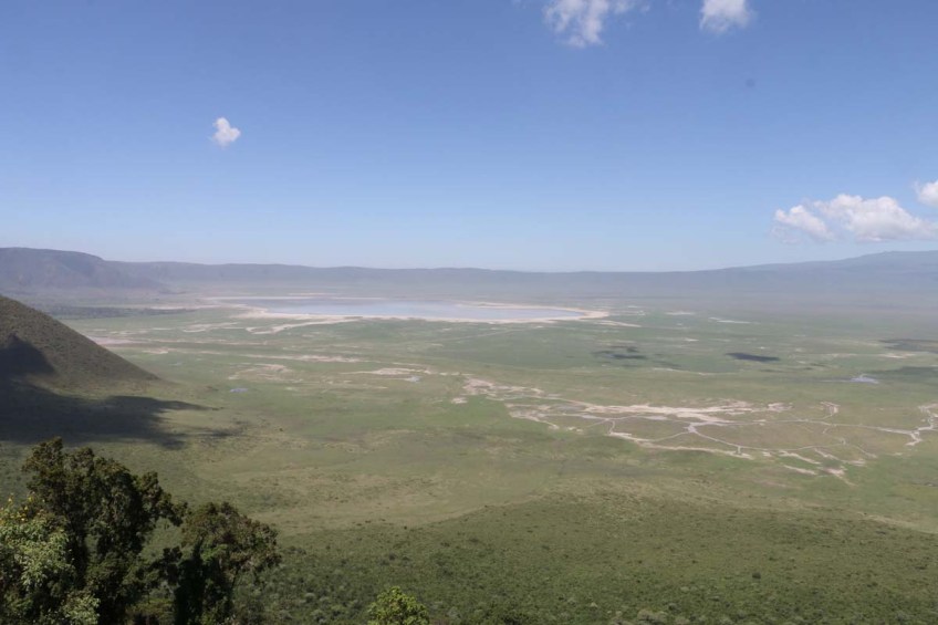safari, tanzania, jungle, serengeti, ngorongoro crater, lake manyara