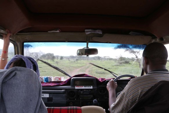 ride, jungle, tanzania, safari, Serengeti