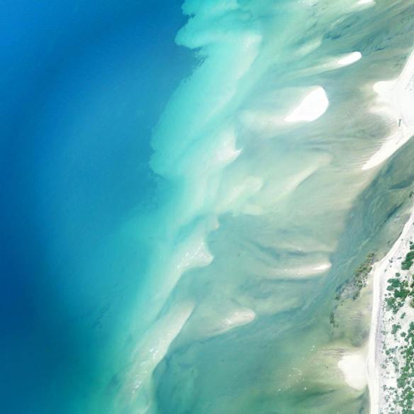 12644771_1707306052840002_36981670237119157_n