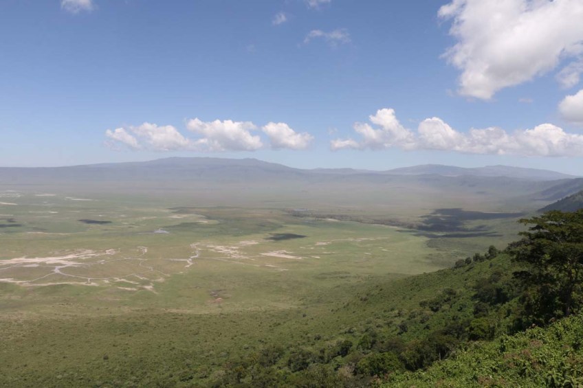 safari, tanzania, jungle, serengeti, ngorongoro crater, lake manyara