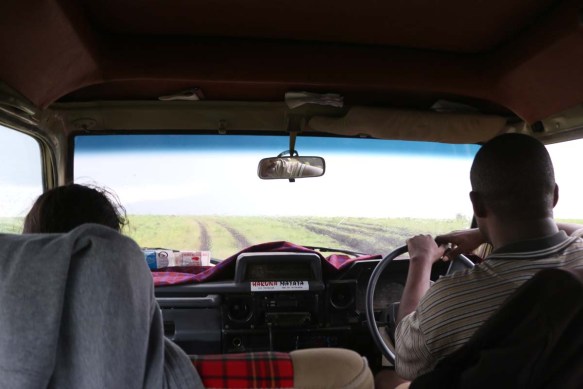 ride, jungle, tanzania, safari, Serengeti