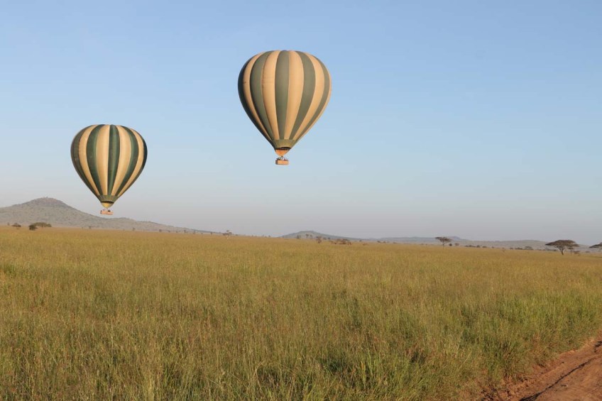 hot air balloon, safari, jungle, Serengeti, sunrise