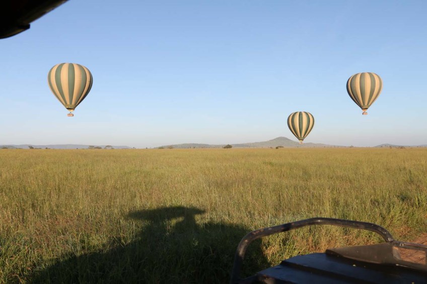 hot air balloon, safari, jungle, Serengeti, sunrise
