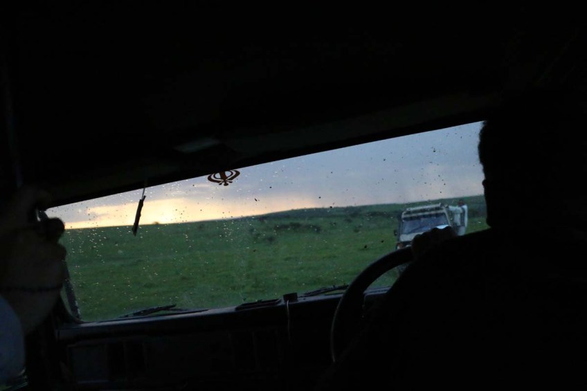 ride, jungle, tanzania, safari, Serengeti