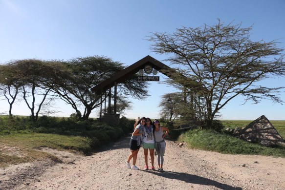 safari, tanzania, jungle, serengeti, ngorongoro crater, lake manyara