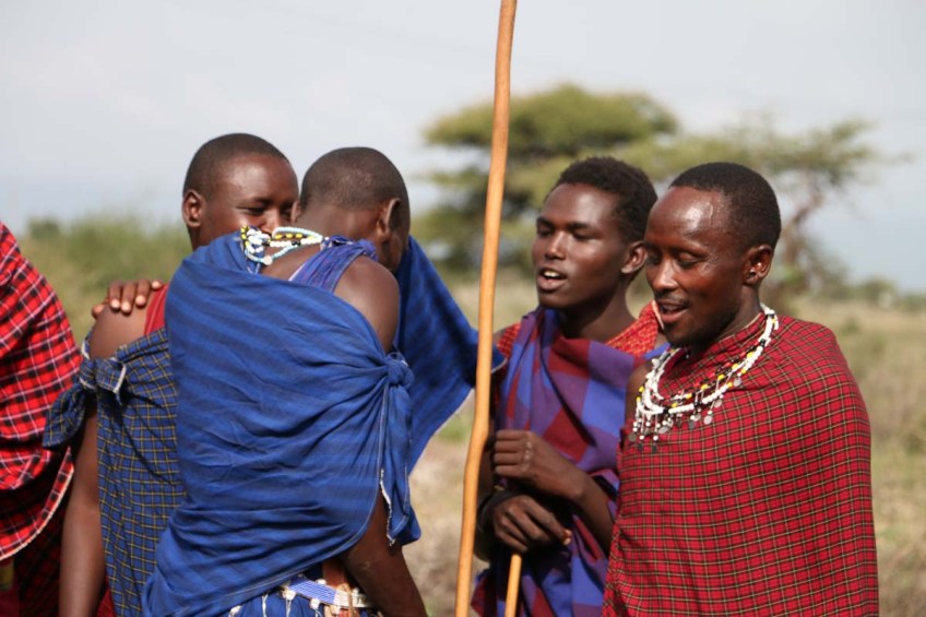 maasai, african, jungle, safari, tanzanian, tanzania