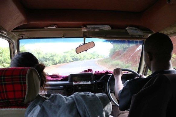 ride, jungle, tanzania, safari, Serengeti