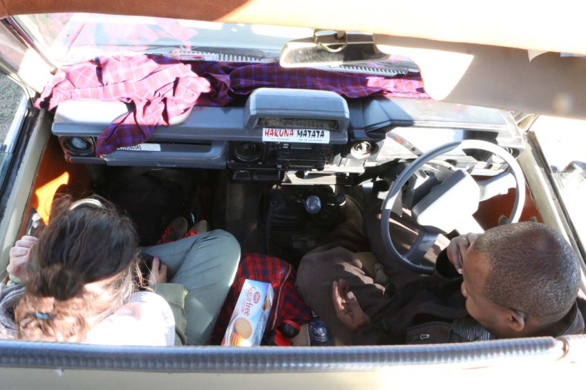 ride, jungle, tanzania, safari, Serengeti