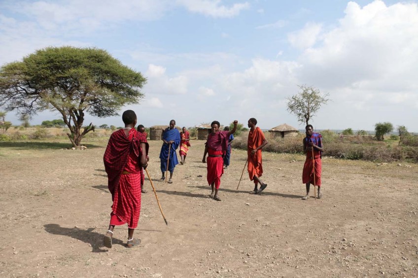 maasai, african, jungle, safari, tanzanian, tanzania