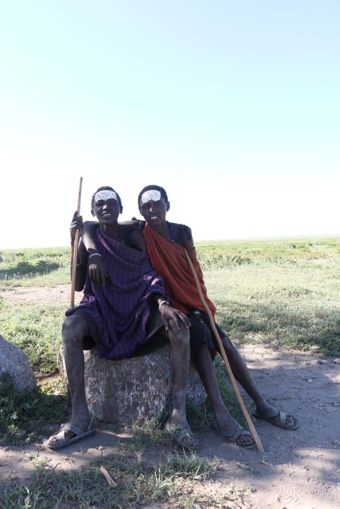maasai, african, jungle, safari, tanzanian, tanzania