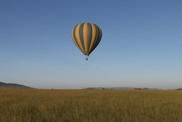 hot air balloon, safari, jungle, Serengeti, sunrise