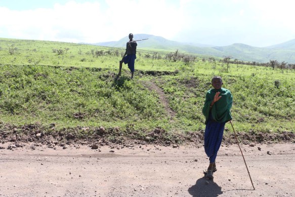 maasai, african, jungle, safari, tanzanian, tanzania