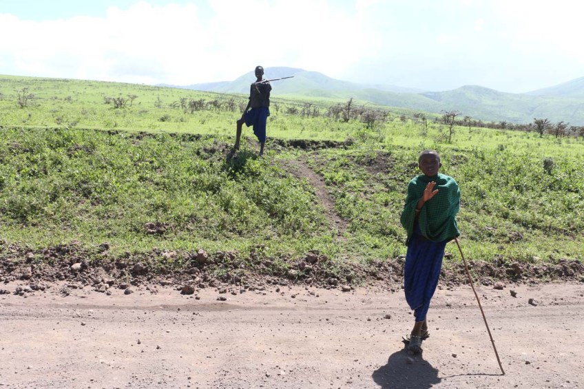 maasai, african, jungle, safari, tanzanian, tanzania
