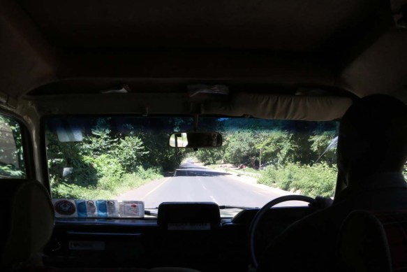 ride, jungle, tanzania, safari, Serengeti