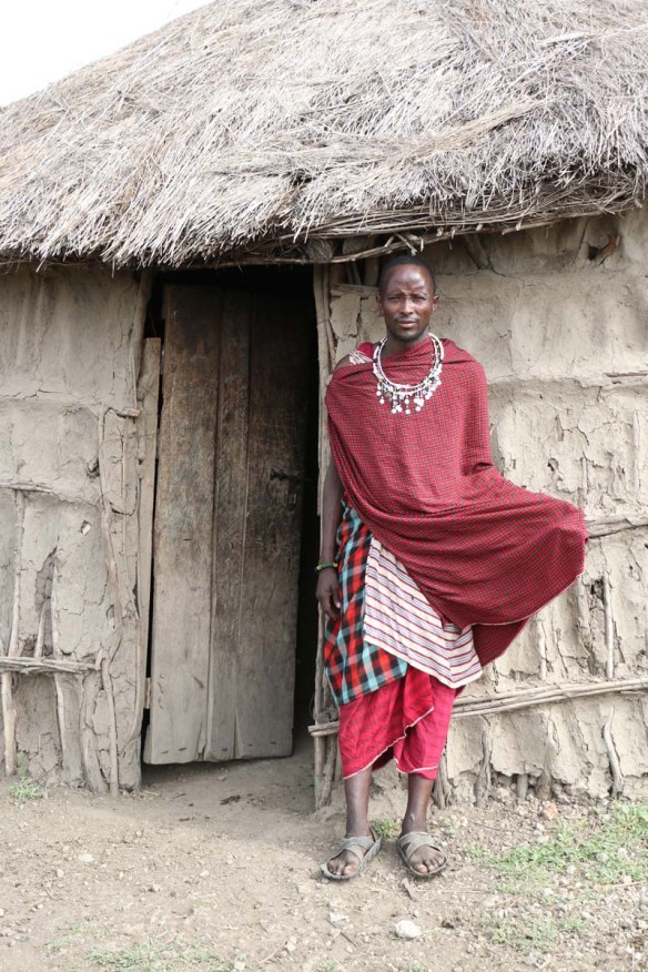 maasai, african, jungle, safari, tanzanian, tanzania