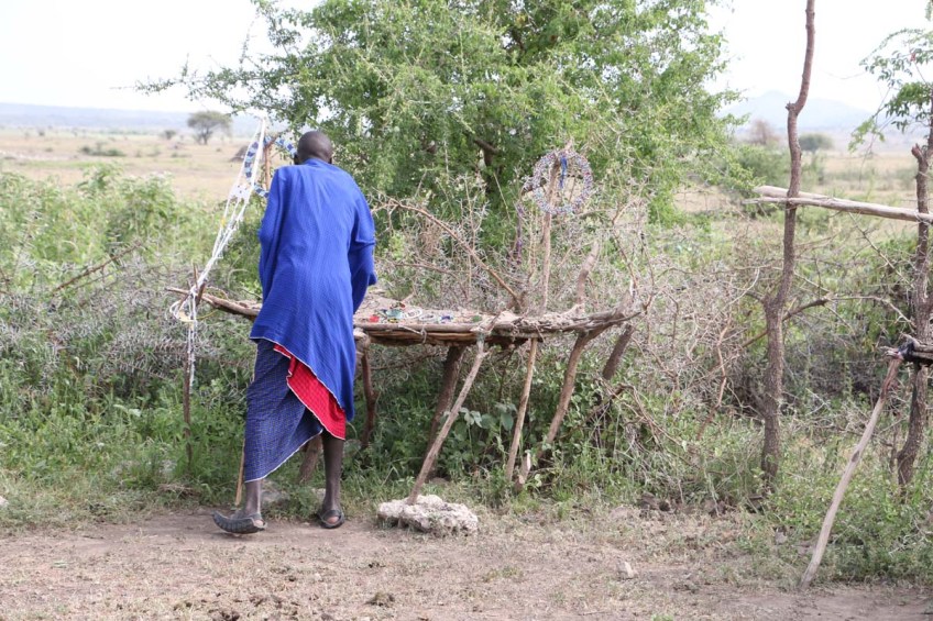 maasai, african, jungle, safari, tanzanian, tanzania