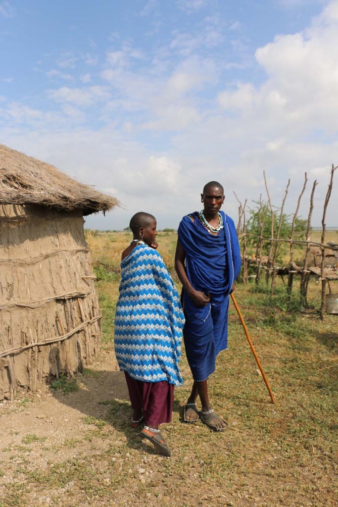 maasai, african, jungle, safari, tanzanian, tanzania