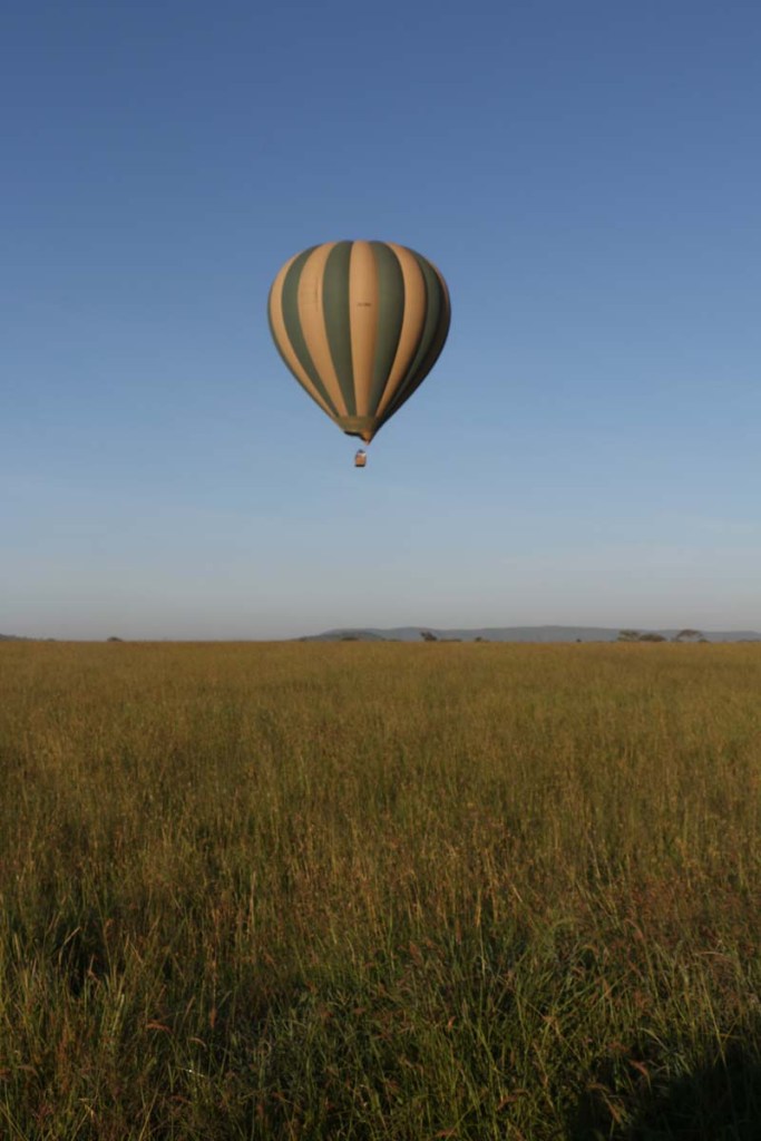 hot air balloon, safari, jungle, Serengeti, sunrise