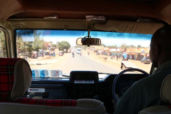 ride, jungle, tanzania, safari, Serengeti