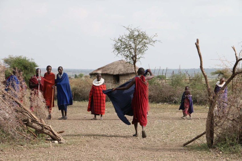 maasai, african, jungle, safari, tanzanian, tanzania