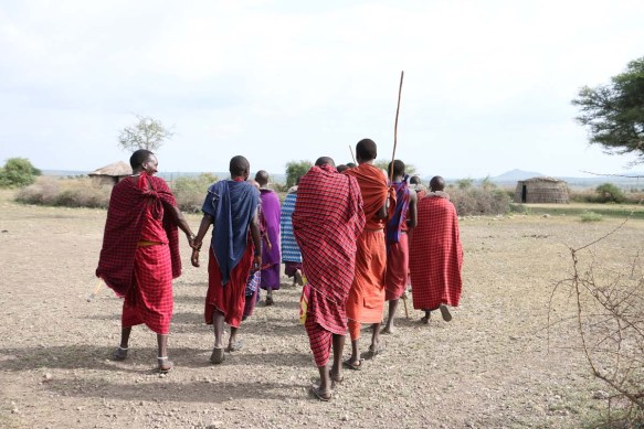 maasai, african, jungle, safari, tanzanian, tanzania